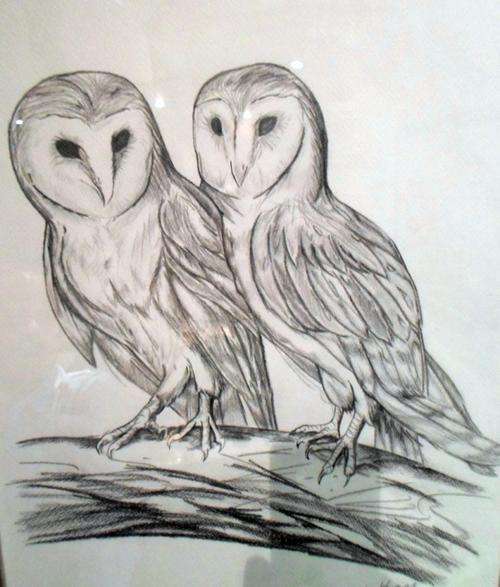 Francois Krige - Pair of Owl's - Larger work by a true investment artist! Bid now!!